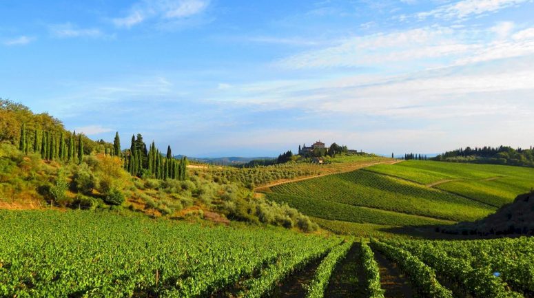 Chianti Tourist Information - Visitors' Guide To The Chianti Area Of 